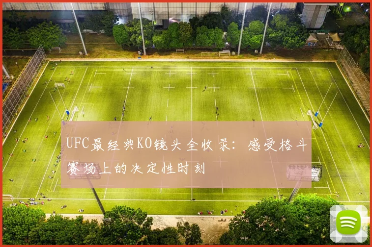 UFC最经典KO镜头全收录：感受格斗赛场上的决定性时刻