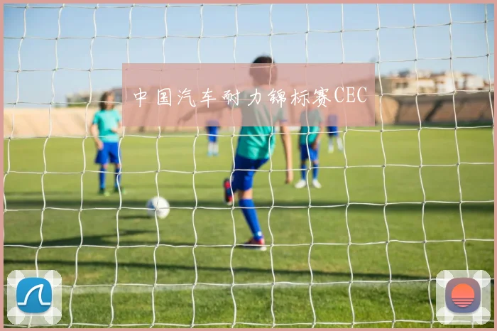 中国汽车耐力锦标赛CEC