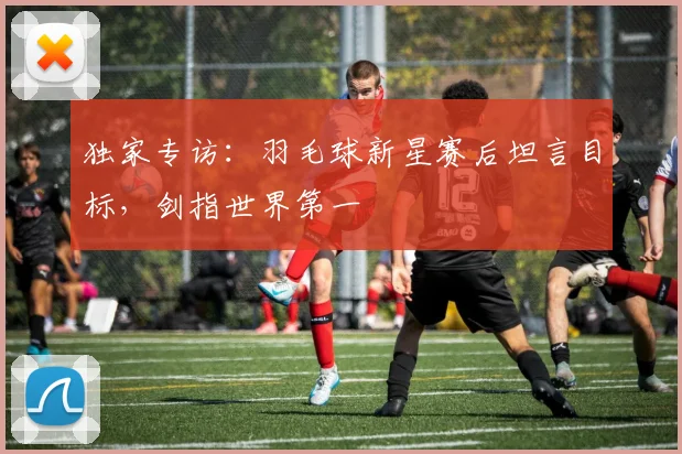 独家专访：羽毛球新星赛后坦言目标，剑指世界第一