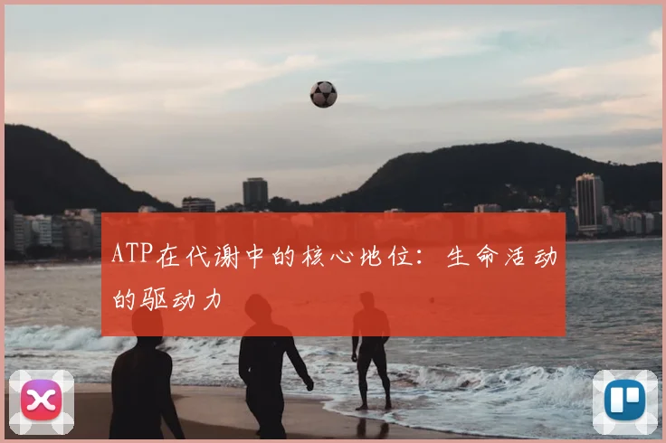 ATP在代谢中的核心地位：生命活动的驱动力