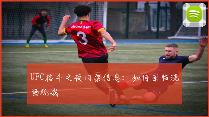 UFC格斗之夜门票信息：如何亲临现场观战