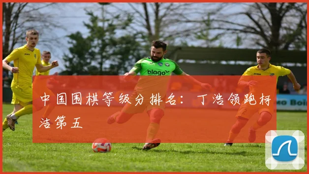 中国围棋等级分排名：丁浩领跑柯洁第五